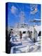 Key West, Florida, USA-Sylvain Grandadam-Premier Image Canvas