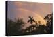 Key West Rainbow 1-Robert Goldwitz-Premier Image Canvas