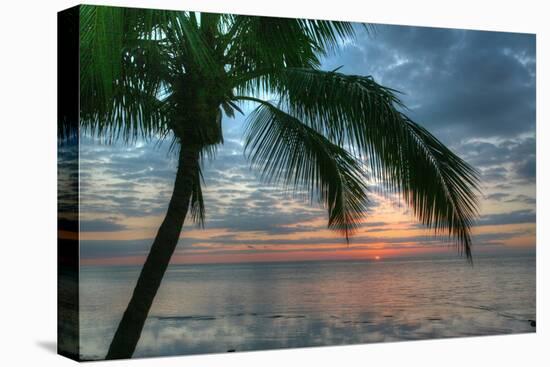 Key West Sunrise One Palm-Robert Goldwitz-Premier Image Canvas