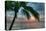 Key West Sunrise One Palm-Robert Goldwitz-Premier Image Canvas