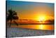 Key West Sunrise Reflection-Vaughn Garner-Stretched Canvas