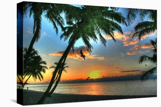 Key West Sunrise VII-Robert Goldwitz-Premier Image Canvas