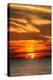 Key West Sunset Vertical II-Robert Goldwitz-Premier Image Canvas
