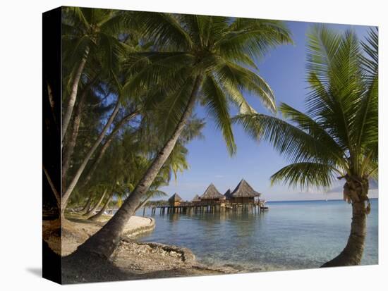 Kia Ora Resort, Rangiroa, Tuamotu Archipelago, French Polynesia, Pacific Islands, Pacific-Sergio Pitamitz-Premier Image Canvas