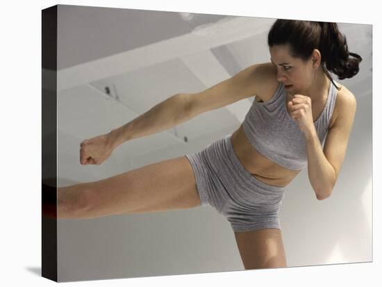Kickboxing Workout-null-Premier Image Canvas