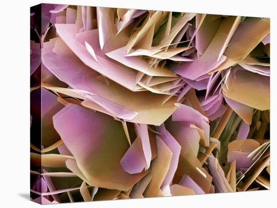 Kidney Stone Crystals, SEM-Steve Gschmeissner-Premier Image Canvas