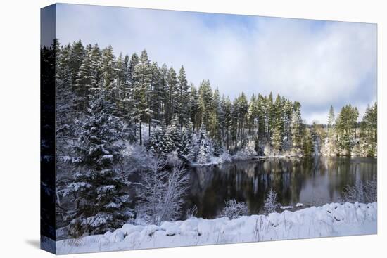 Kielder Water and Forest Park in Snow, Northumberland, England, United Kingdom, Europe-Ann & Steve Toon-Premier Image Canvas