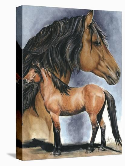 Kiger Mustang-Barbara Keith-Premier Image Canvas