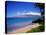 Kihei Beach and West Maui Mountains-James Randklev-Premier Image Canvas