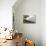 Kihei Sunrise-Stan Hellmann-Stretched Canvas displayed on a wall