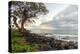 Kihei Sunrise-Stan Hellmann-Stretched Canvas