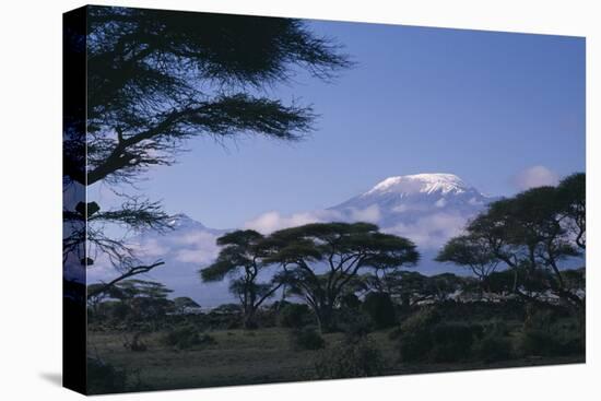 Kilimanjaro and Acacia Trees-DLILLC-Premier Image Canvas