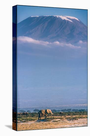 Kilimanjaro and the Quiet Sentinels-Jeffrey C. Sink-Premier Image Canvas