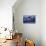 Killer Whale-null-Premier Image Canvas displayed on a wall