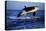 Killer Whale-null-Premier Image Canvas