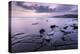 Kimmeridge Bay ledges at sunset, Dorset, UK-Ross Hoddinott-Premier Image Canvas