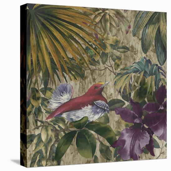 King Bird of Paradise-Bill Jackson-Premier Image Canvas