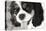 King Charles Spaniel Black and White-Karyn Millet-Premier Image Canvas