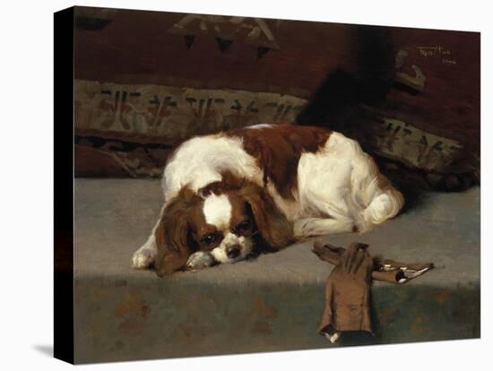 King Charles Spaniel Resting-Frederick Hall-Stretched Canvas