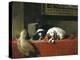 King Charles Spaniels ('The Cavalier's Pets')-Edwin Henry Landseer-Premier Image Canvas