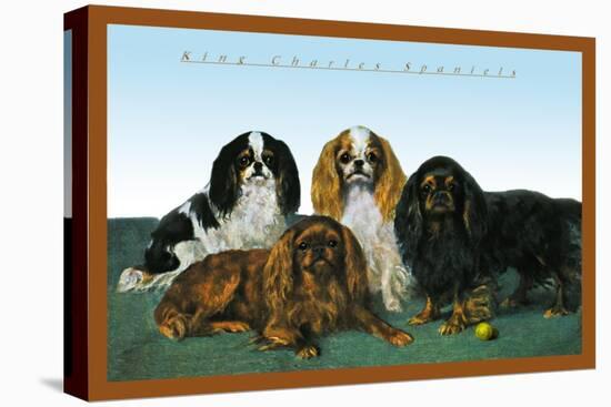 King Charles Spaniels-null-Stretched Canvas