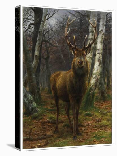 King of the Forest, 1878 (Oil on Canvas)-Rosa Bonheur-Premier Image Canvas