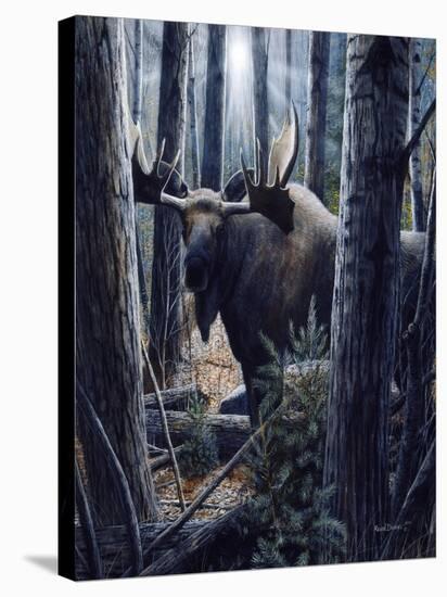 King of the Northwoods-Kevin Daniel-Stretched Canvas