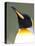 King Penguin (Aptenodytes Patagonicus), Gold Harbour, South Georgia, Antarctic, Polar Regions-null-Premier Image Canvas