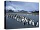 King Penguins on Cook Glacier, South Georgia Island, Antarctica-Hugh Rose-Premier Image Canvas