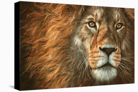 King-David Stribbling-Stretched Canvas