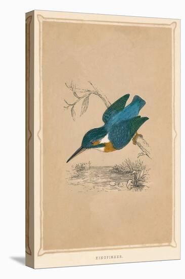 'Kingfisher', (Alcedines), c1850, (1856)-Unknown-Premier Image Canvas