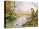 Kingfisher: Autumn River Scene-Carl Donner-Premier Image Canvas