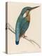 Kingfisher Sitting on a Thin Branch-Reverend Francis O. Morris-Premier Image Canvas