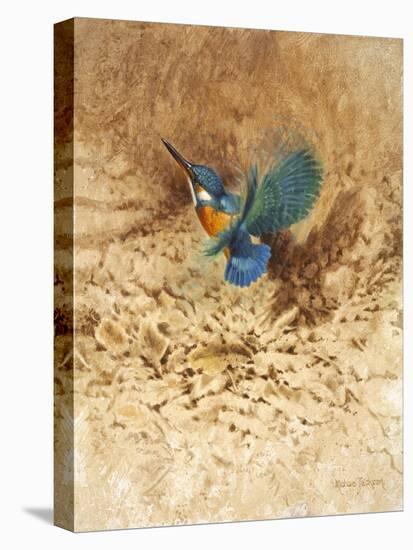 Kingfisher Study-Michael Jackson-Premier Image Canvas