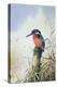 Kingfisher-Carl Donner-Premier Image Canvas