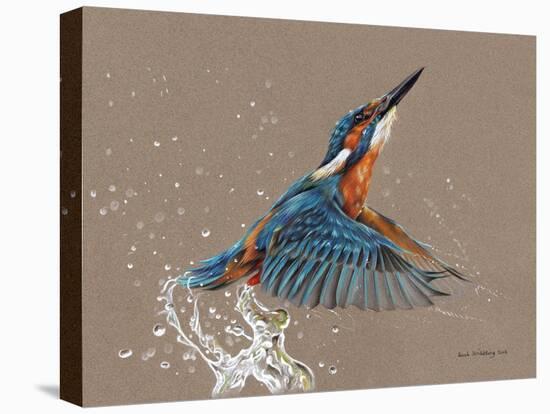 Kingfisher-Sarah Stribbling-Stretched Canvas