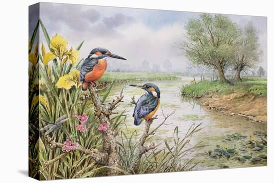 Kingfishers on the Riverbank-Carl Donner-Premier Image Canvas