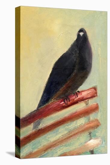 Kingly Court Pigeon, 2013-Nancy Moniz-Premier Image Canvas