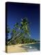 Kings Beach Barbados-null-Premier Image Canvas