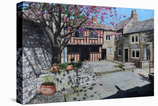 Kings Court, Bakewell, Derbyshire, 2009-Trevor Neal-Premier Image Canvas