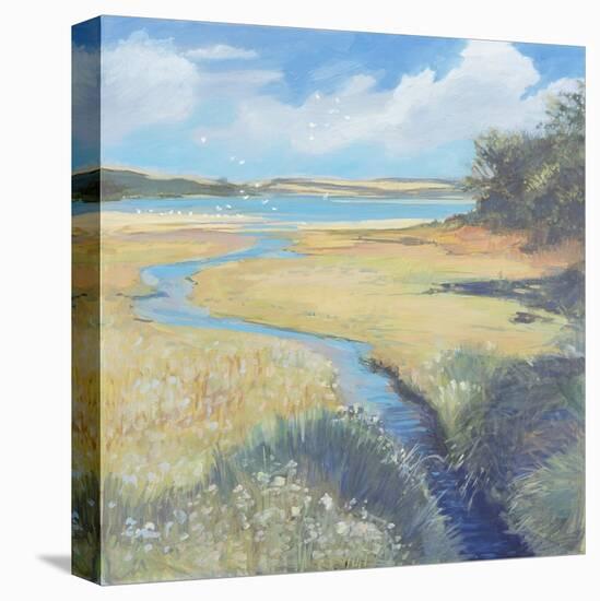 Kingsbridge Estuary, 2008-Jennifer Wright-Premier Image Canvas