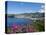 Kingstown Harbour, St. Vincent, St. Vincent and the Grenadines, Windward Islands-Michael DeFreitas-Premier Image Canvas