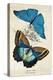 Kirby Butterflies II-Christine Zalewski-Stretched Canvas