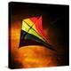 Kite-Mark James Gaylard-Premier Image Canvas