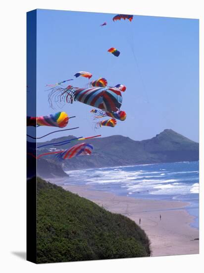 Kites Flying on the Oregon Coast, USA-Janis Miglavs-Premier Image Canvas