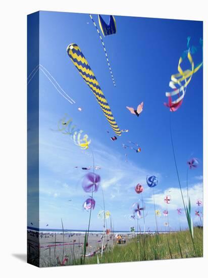 Kites on the Beach, Long Beach, Washington, USA-Merrill Images-Premier Image Canvas