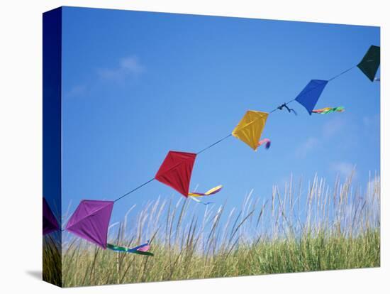 Kites on the Beach, Long Beach, Washington, USA-Merrill Images-Premier Image Canvas