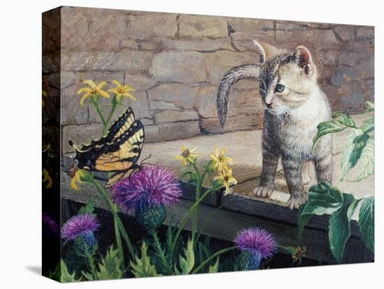 Kitten and Butterfly-Kevin Dodds-Premier Image Canvas