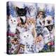 Kitten Collage-Jenny Newland-Premier Image Canvas