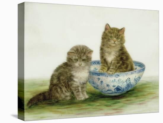 Kitten in a Blue China Bowl-Betsy Bamber-Premier Image Canvas